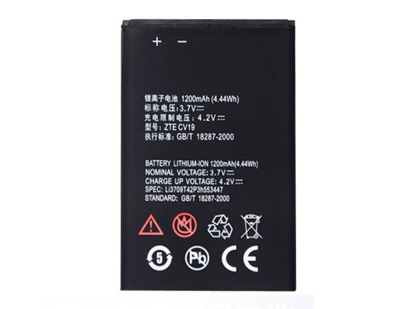 ZTE CV19